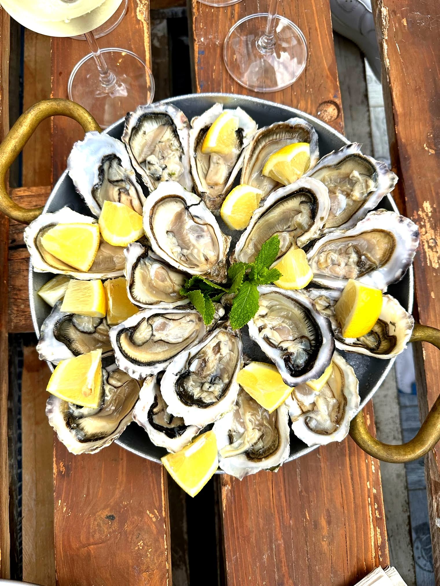 Oysters